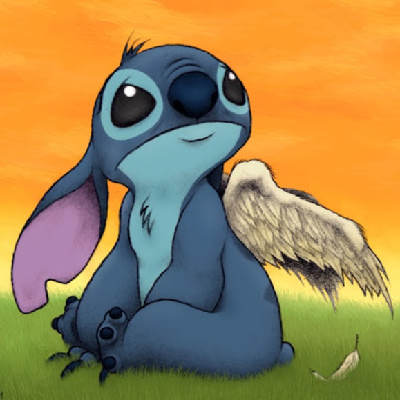 Meet your Posher, Daphne - Picture 1 of 1